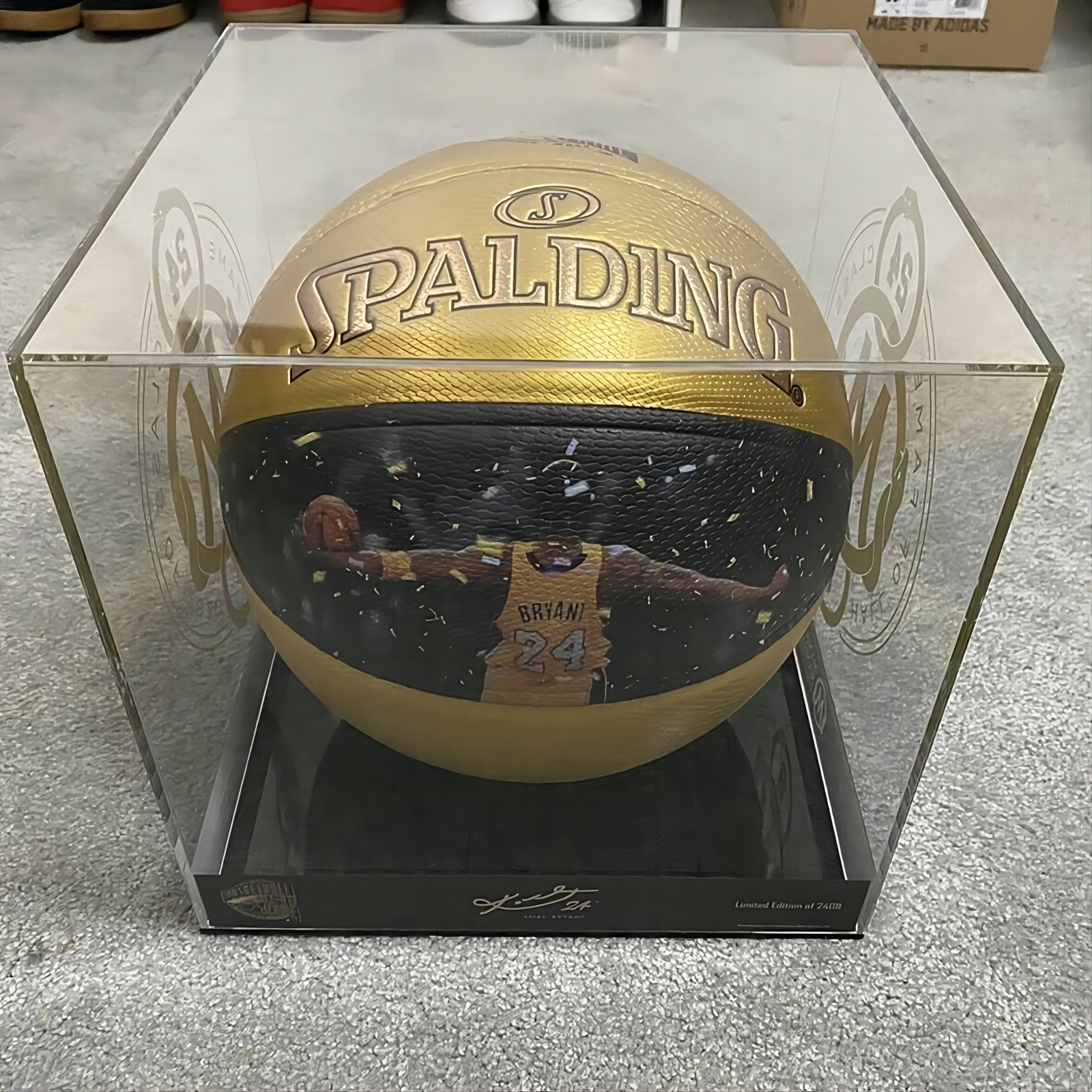 basketbalový box